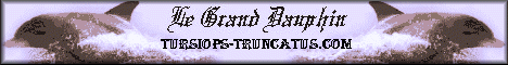 Tursiops-Truncatus.com