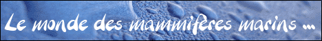 Cetacea.eu